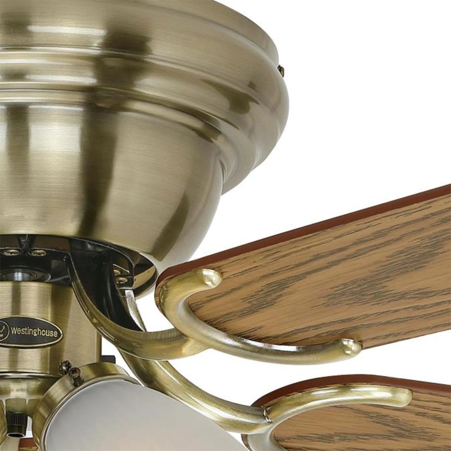 Westinghouse Contempra 4 52 in. Polished Brass Finish Reversible Blades (Walnut/Oak) Clear Ribbed Glass
