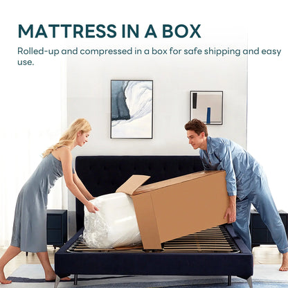 Soges 10 inch Twin Size Memory Foam Mattress with Removable Washable Mattress Cover, Medium Firm Gel Memory Foam Mattress for Pressure Relief, Fiberglass Free Mattress in a Box, CertiPUR-US